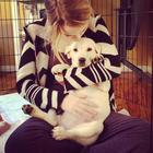Bridgit Mendler : bridgit-mendler-1363887944.jpg