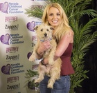 Britney Spears : britney-spears-1426220473.jpg