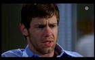 Bug Hall : bug-hall-1335246422.jpg