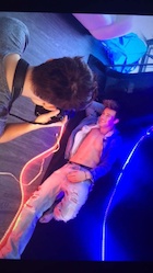 Cameron Dallas : cameron-dallas-1456536241.jpg