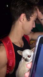 Cameron Dallas : cameron-dallas-1465093801.jpg