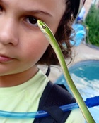 Carson White : carson-white-1590561421.jpg