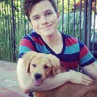 Chris Colfer : chris-colfer-1398952298.jpg Chris Colfer : chris-colfer-1398952298.jpg