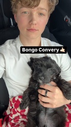 Christian Convery in General Pictures, Uploaded by: bluefox4000