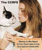 Christy Carlson Romano : christy-carlson-romano-1325824695.jpg