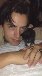 Cole Sprouse : cole-sprouse-1465688881.jpg