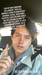 Cole Sprouse : cole-sprouse-1618086422.jpg