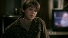 Colin Ford : colin-ford-1314397011.jpg