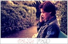Colin Ford : colin-ford-1354236418.jpg