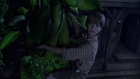 Colin Ford in Jack and the Beanstalk, Uploaded by: Nirvanafan201