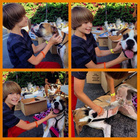 Corey Fogelmanis : corey-fogelmanis-1417627469.jpg