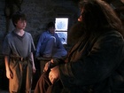 Daniel Radcliffe in Harry Potter and the Sorcerer's Stone, Uploaded by: ninky095