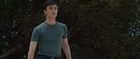 Daniel Radcliffe : daniel_radcliffe_1217173839.jpg