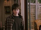 Daniel Radcliffe : daniel_radcliffe_1229703329.jpg