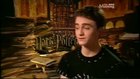 Daniel Radcliffe : daniel_radcliffe_1230550007.jpg