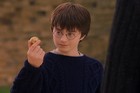 Daniel Radcliffe : daniel_radcliffe_1242617727.jpg