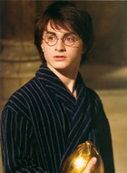 Daniel Radcliffe : gof_movieposterbook_dan_1.jpg