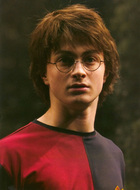 Daniel Radcliffe : gof_movieposterbook_dan_6.jpg