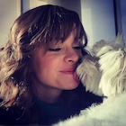 Danielle Panabaker : danielle-panabaker-1440692041.jpg