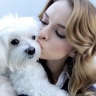 Danielle Panabaker in General Pictures, Uploaded by: webby