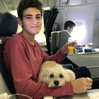 David Mazouz : david-mazouz-1532024470.jpg