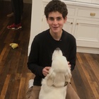 David Mazouz : david-mazouz-1676936002.jpg