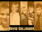 David Gallagher : david-gallagher-1429119561.jpg