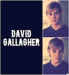 David Gallagher : david-gallagher-1438804587.jpg