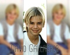 David Gallagher : david-gallagher-1492116052.jpg
