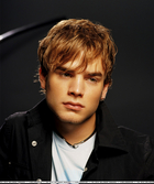 David Gallagher : david_gallagher_1204393124.jpg