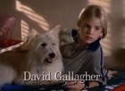 David Gallagher : david_gallagher_1269492028.jpg