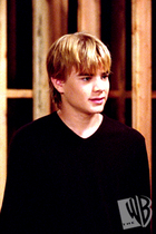 David Gallagher : pic228.jpg