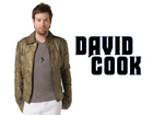 David Cook : davidcook_1216010642.jpg