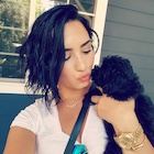 Demi Lovato : demi-lovato-1440957039.jpg