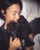 Demi Lovato : demi-lovato-1449165115.jpg