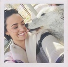 Demi Lovato : demi-lovato-1479664248.jpg