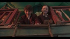 Dylan Kingwell : dylan-kingwell-1535060578.jpg