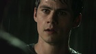 Dylan O'Brien : dylan-obrien-1439916298.jpg