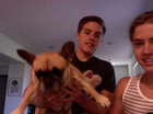 Dylan Sprouse : dylan-sprouse-1340895302.jpg