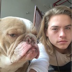Dylan Sprouse : dylan-sprouse-1488246481.jpg