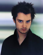 Elijah Wood : elijah_wood_1170105139.jpg