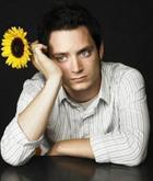 Elijah Wood : elijah_wood_1222181669.jpg