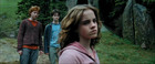 Emma Watson : Pdvd_363drrg.jpg