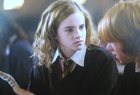 Emma Watson : hermioneilestam.jpg
