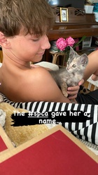 Finn Carr : finn-carr-1656112862.jpg