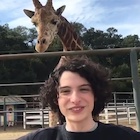 Finn Wolfhard : finn-wolfhard-1512185777.jpg