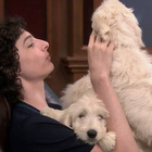 Finn Wolfhard : finn-wolfhard-1533684223.jpg