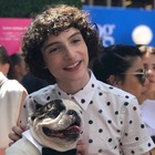 Finn Wolfhard : finn-wolfhard-1533759384.jpg