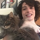 Finn Wolfhard : finn-wolfhard-1596932724.jpg