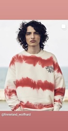 Finn Wolfhard : finn-wolfhard-1602104698.jpg